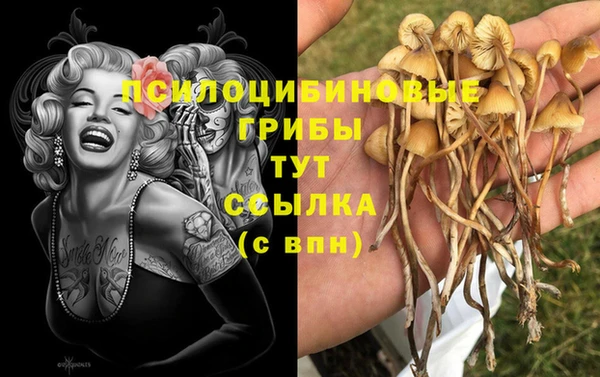 кристаллы Богородицк