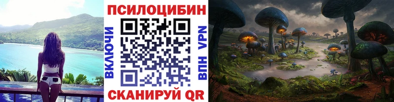 Галлюциногенные грибы ЛСД  Купить закладки  Новосиль 